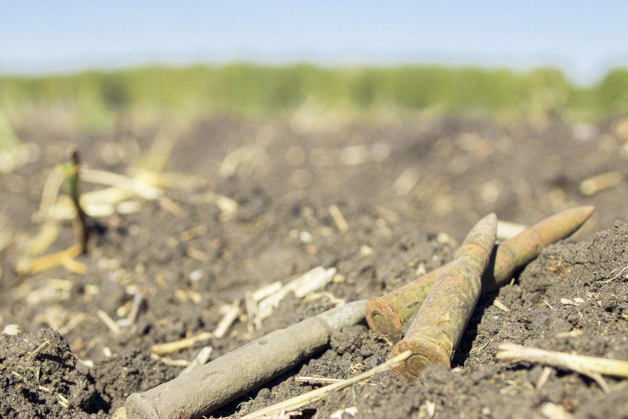dirt and sticks