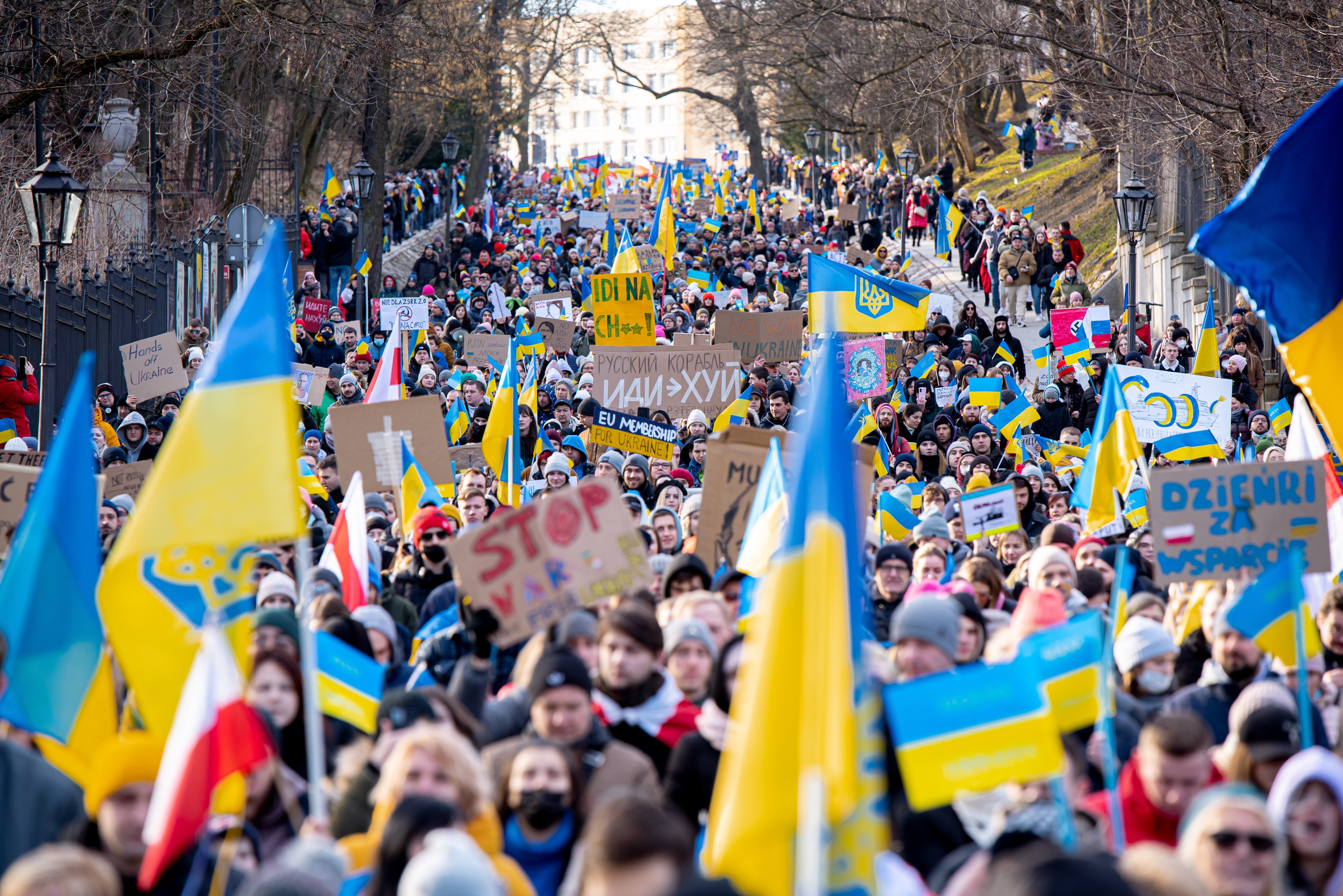 crowd holding Ukraine flags in the street